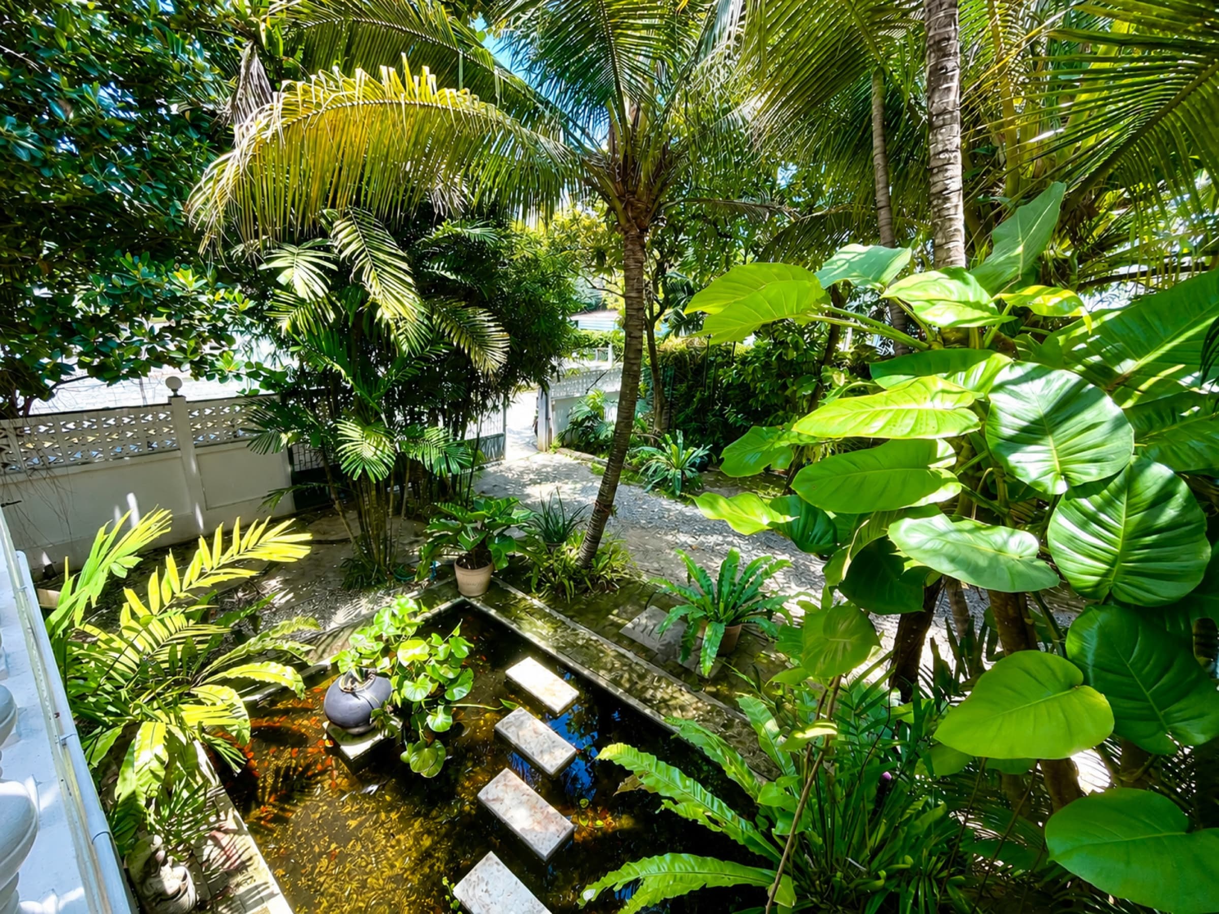 Lush tropical garden seen from above with koi pond, palm trees and banana leaves